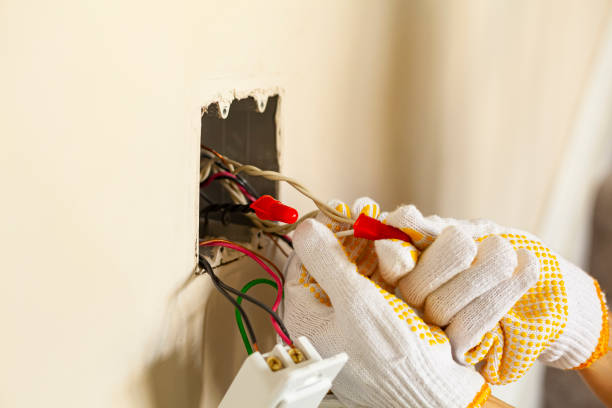 Best Electrical Maintenance Services  in Mcnary, AZ